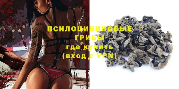тгк Алексин