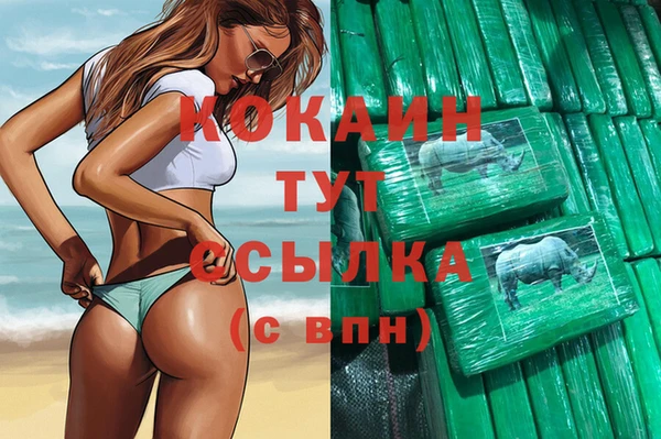 тгк Алексин