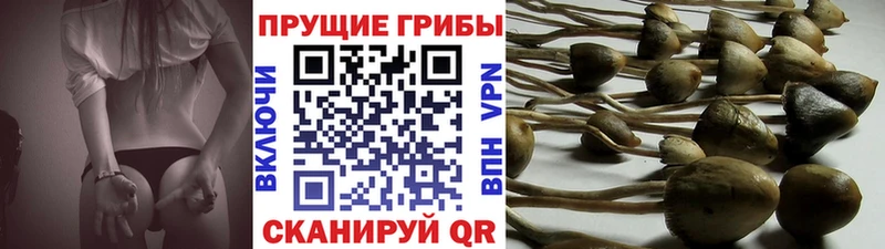 купить наркоту Бабушкин это какой сайт Галлюциногенные грибы мухоморы OMG ONION